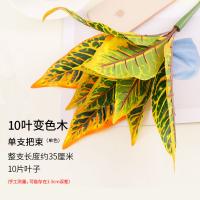 XU0611555